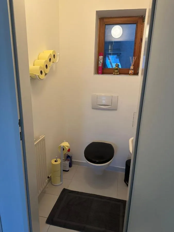 Klimatisiertes Dachgeschoss City Apartment In Zentrum Wiens Austria
